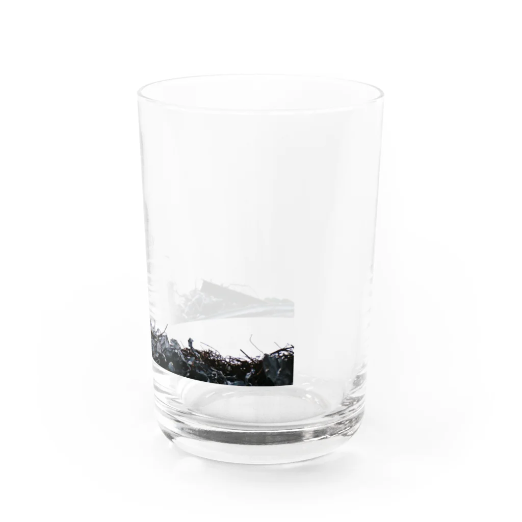 chillの【New】anthology / glass Water Glass :right