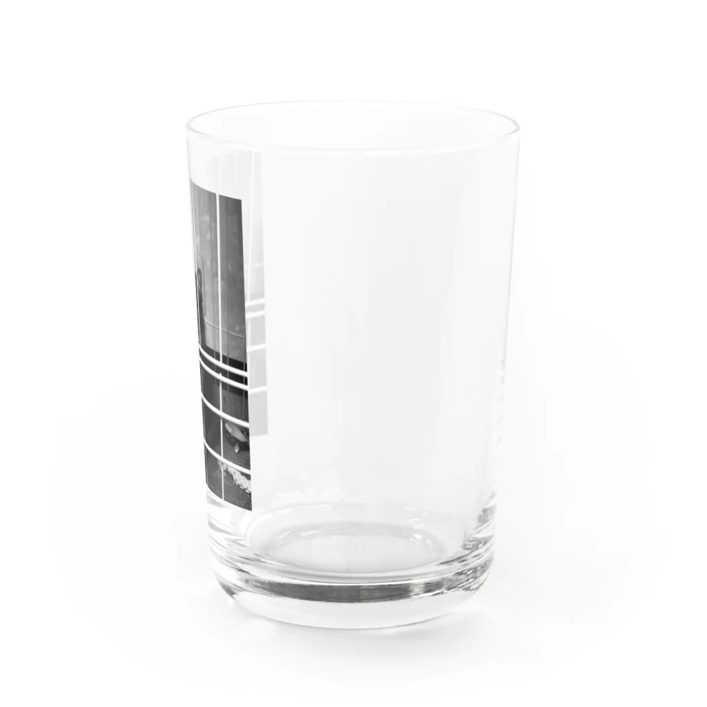 neko_00_nekoのマダラくん Water Glass :right