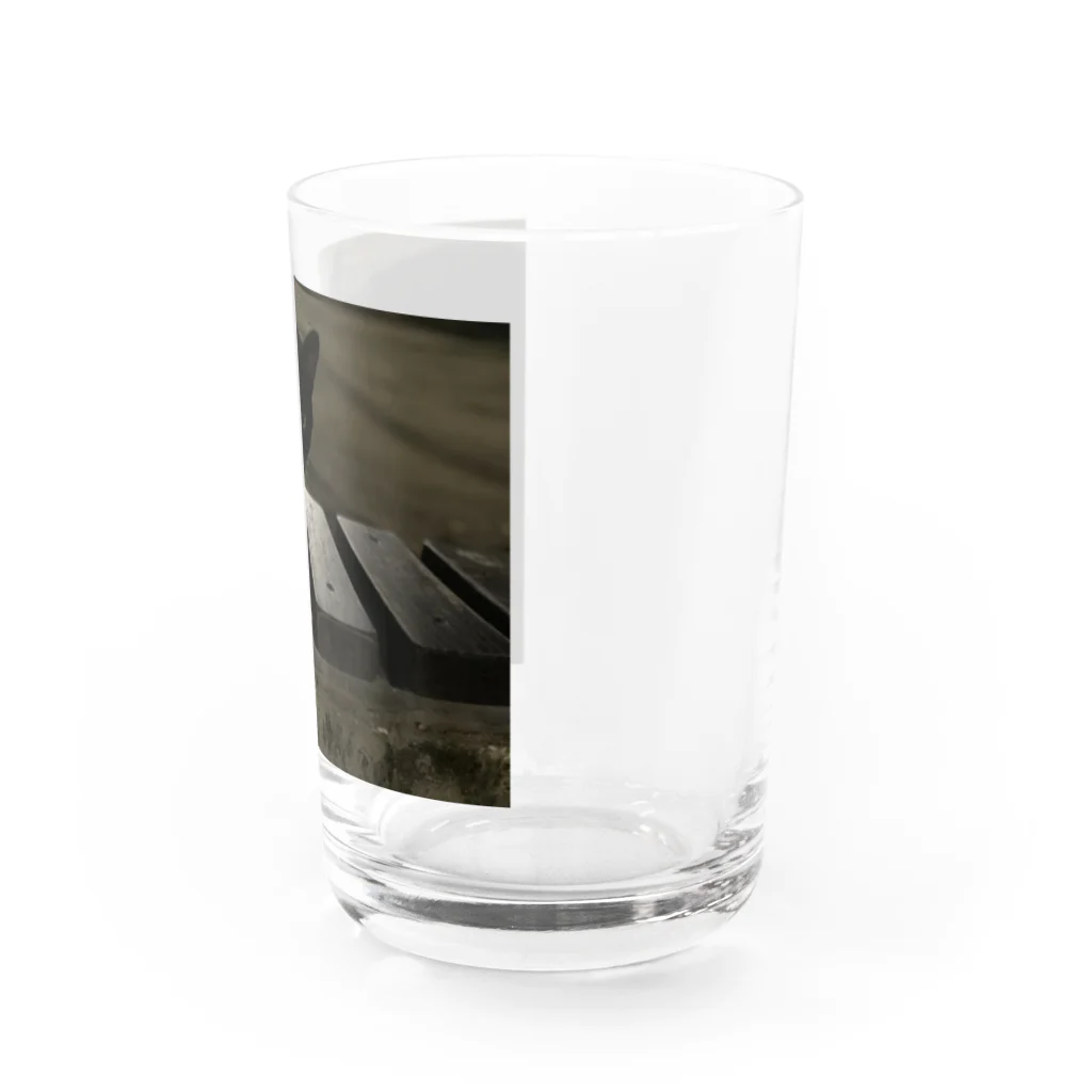 neko_00_nekoの黒猫さん Water Glass :right