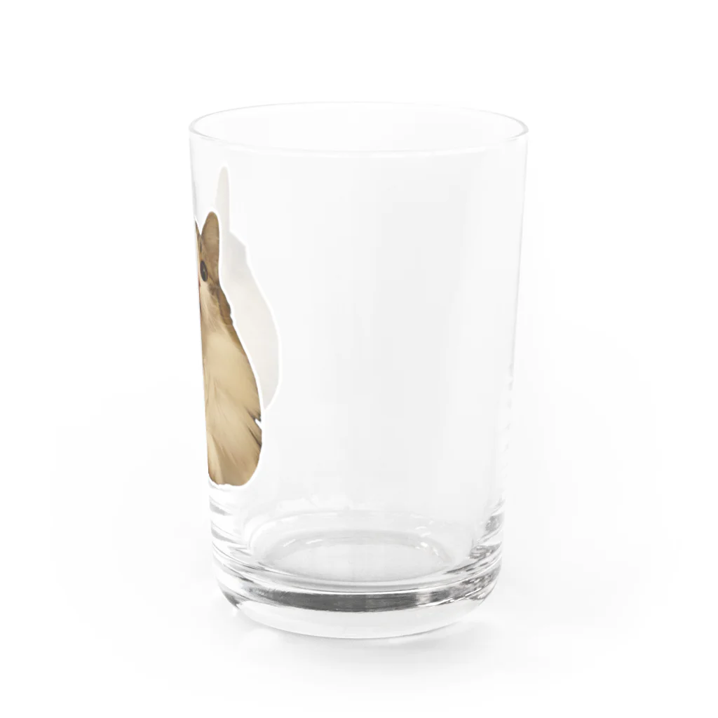 おでん屋さんのもちもち。 Water Glass :right