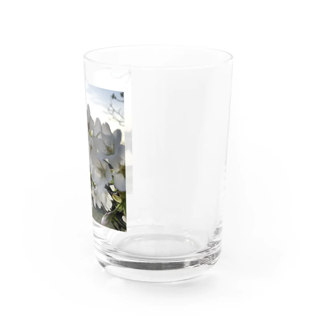 №820の№820 Water Glass :right