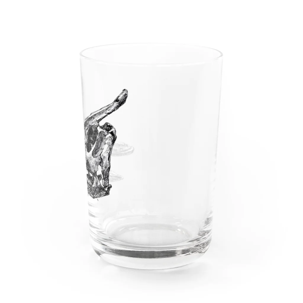 segasworksのサウロロフスの頭の骨 Water Glass :right