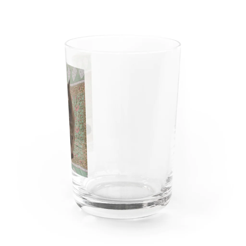 M家のネコたち。のふぅ。 Water Glass :right