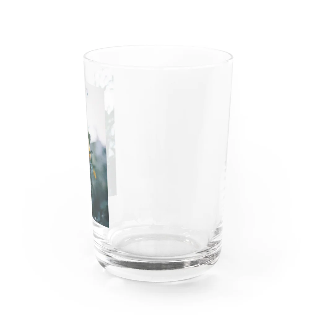 monの檸檬ちゃん Water Glass :right