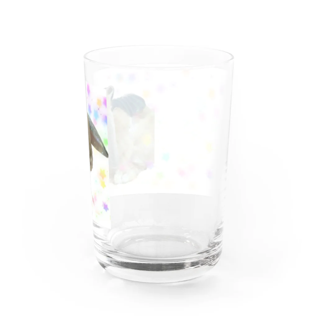 ぱんちまみれの日々のSTAR☆ぱんち Water Glass :right