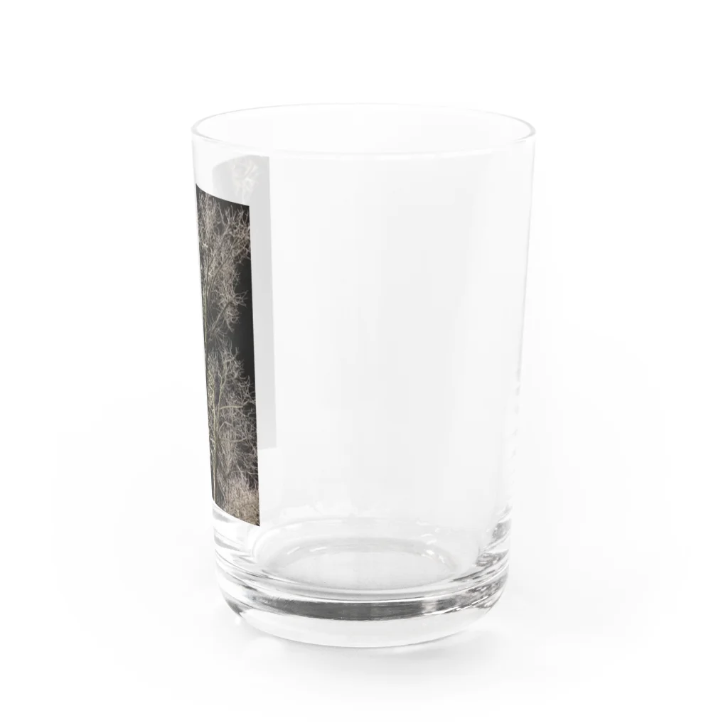 空屋　sorayakusakaの202001121944000　夜の樹木 Water Glass :right