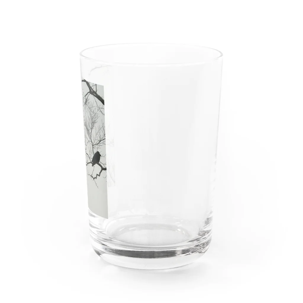 空屋　sorayakusakaの202012300958002　寒烏 Water Glass :right