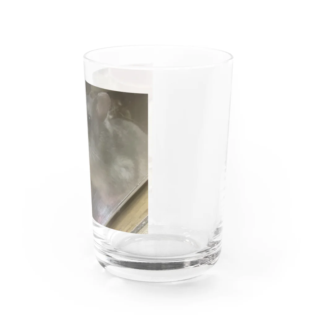 翡翠葛のわらび Water Glass :right