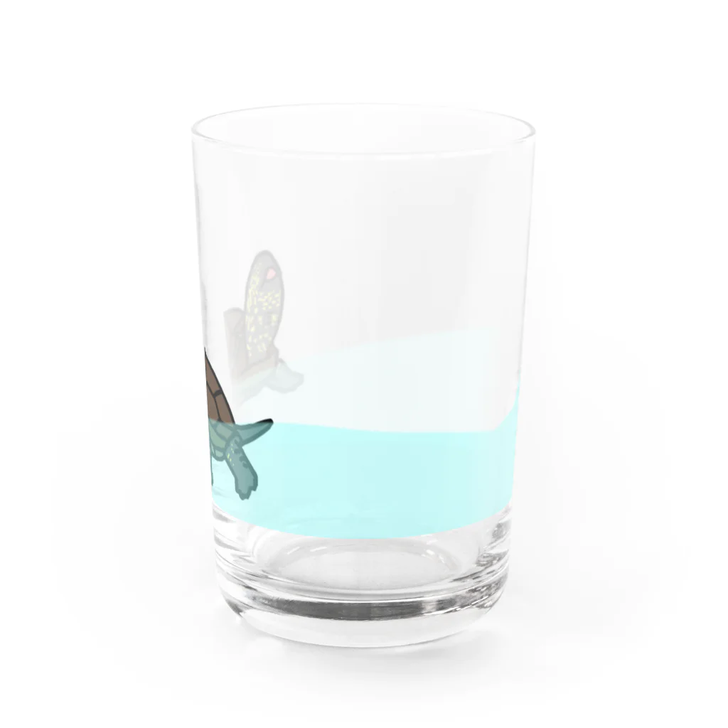 ひかるのクサガメのグラス Water Glass :right