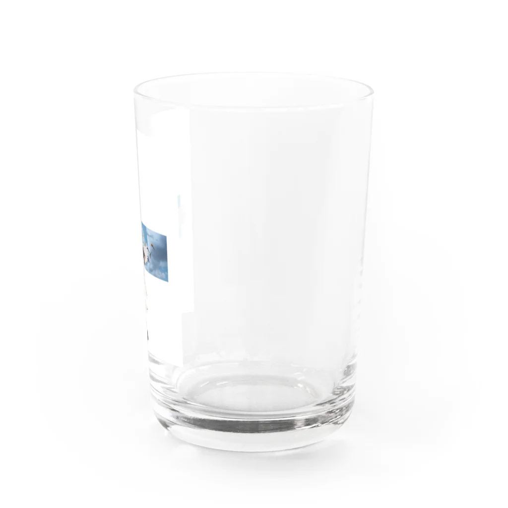 momo_emiの2022 猫 Water Glass :right