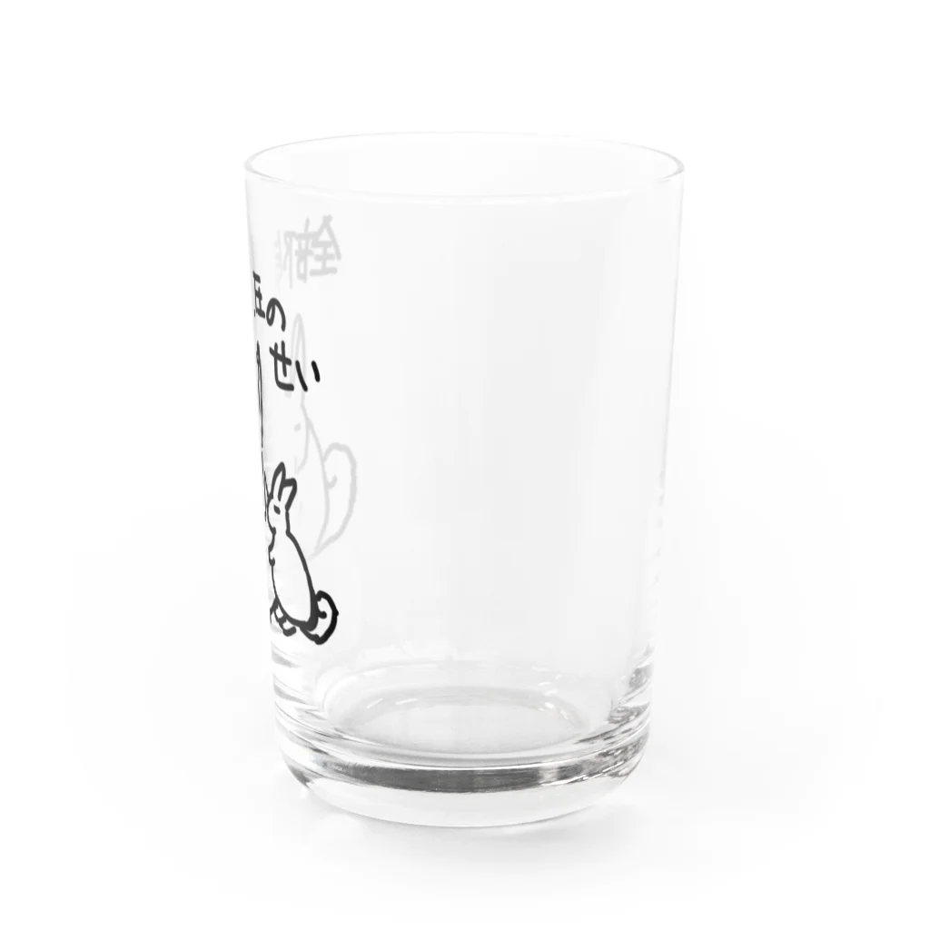 ミナミコアリクイ【のの】の全部気圧のせい【ヤマビスカッチャ】 Water Glass :right