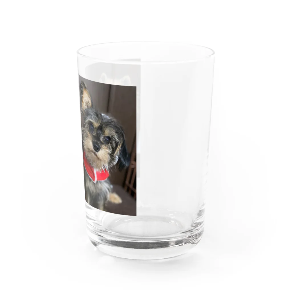 らんすずちゃんのらんすずちゃん Water Glass :right