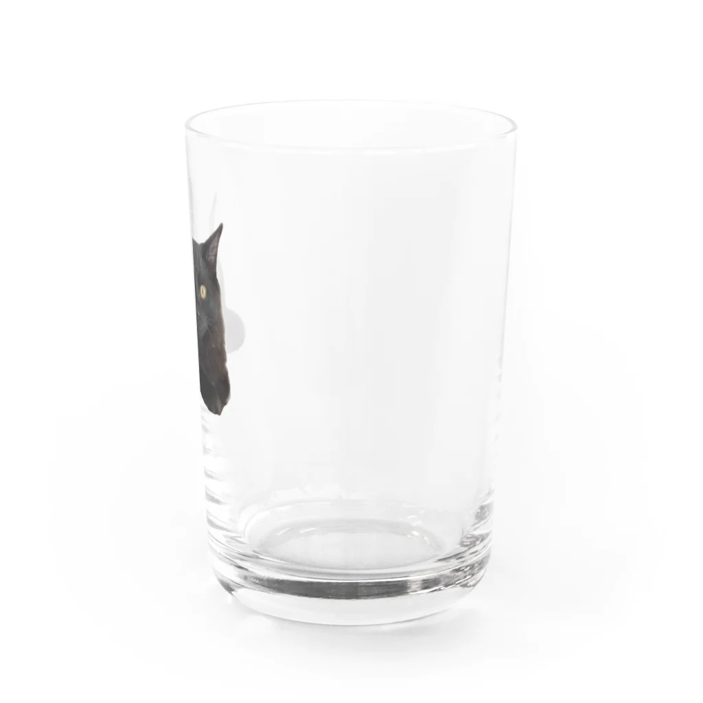 chill_laundryのクゥちゃん 宣材写真風 Water Glass :right