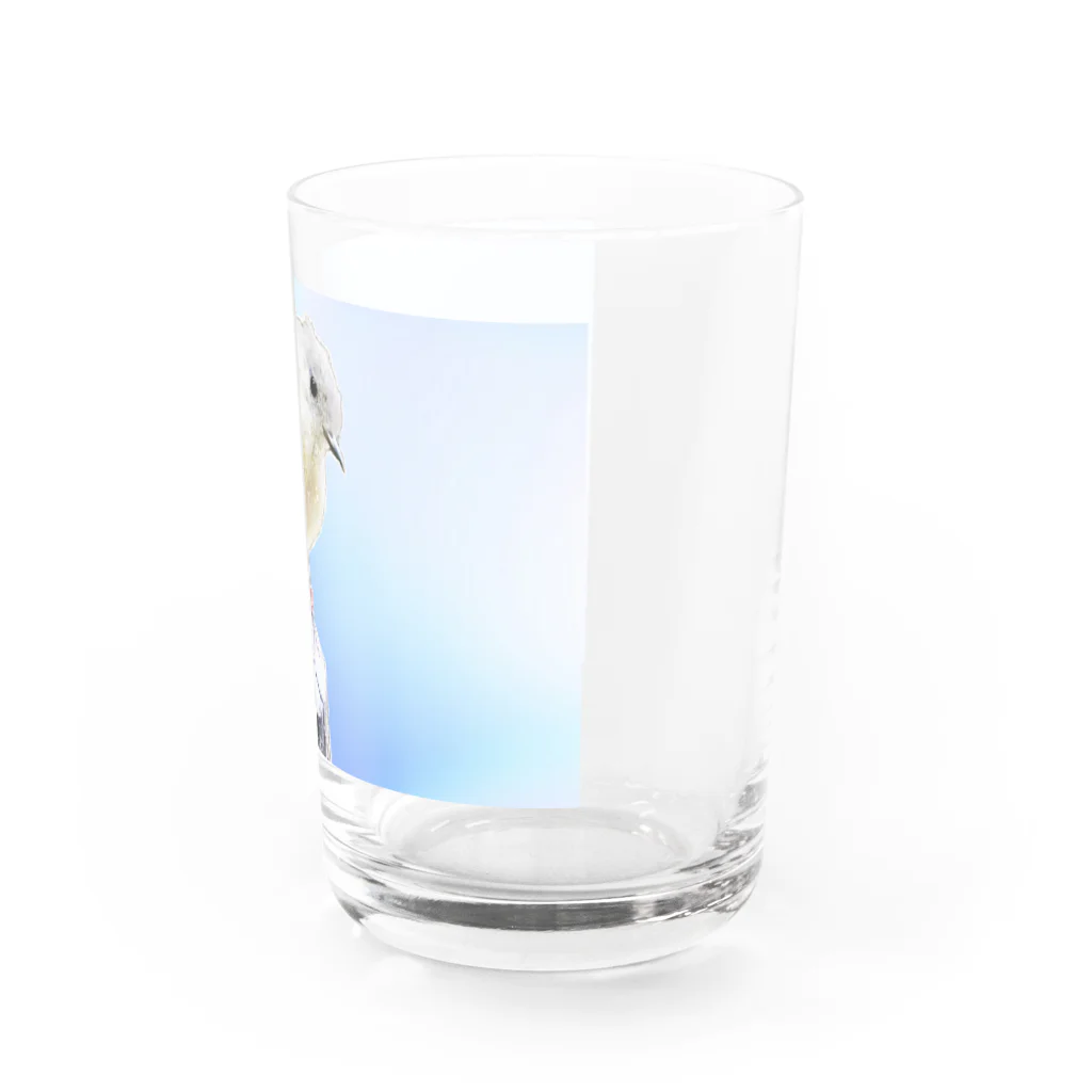 ちびたん工房のジョウビタキ Water Glass :right