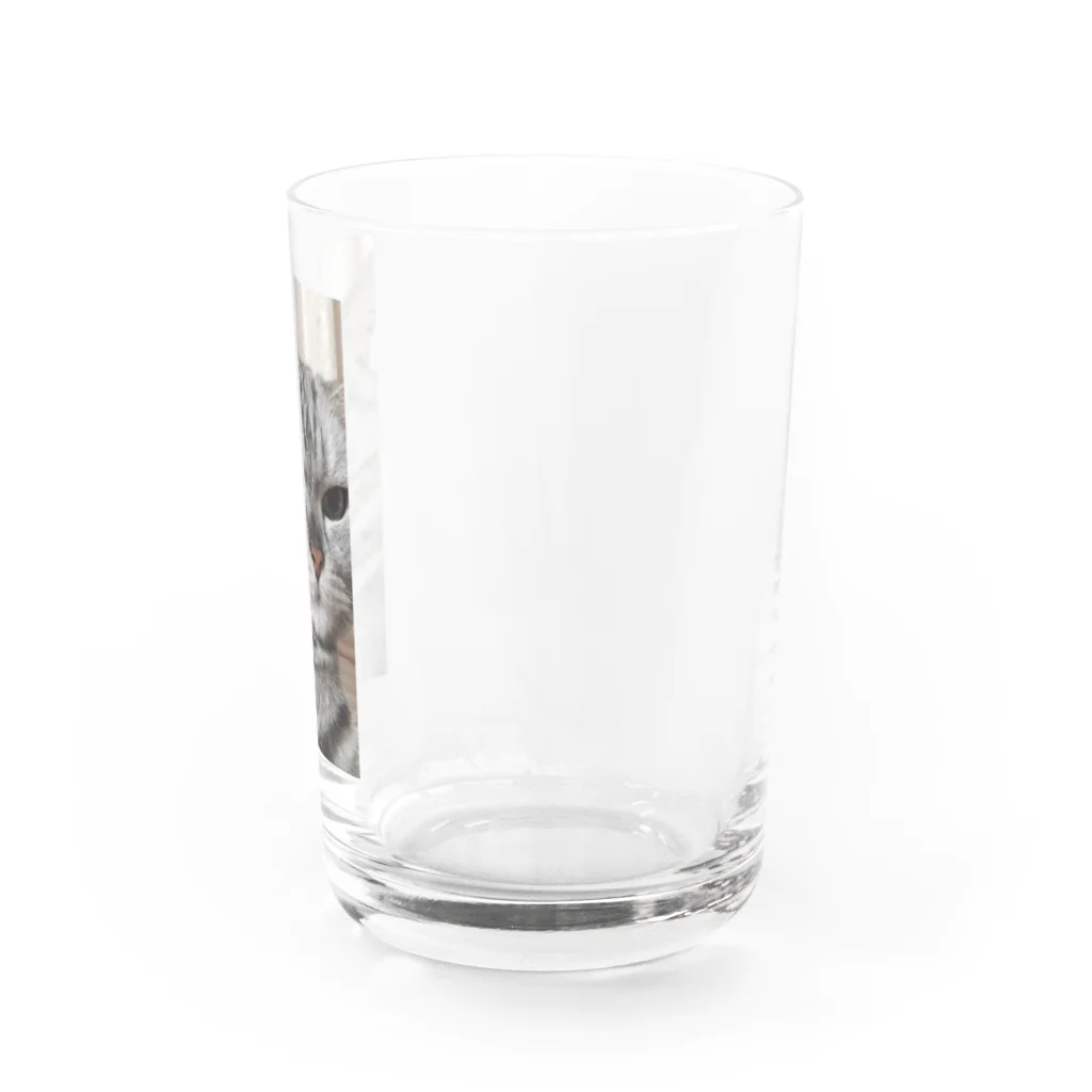 飼い主の2枚目俳優 Water Glass :right