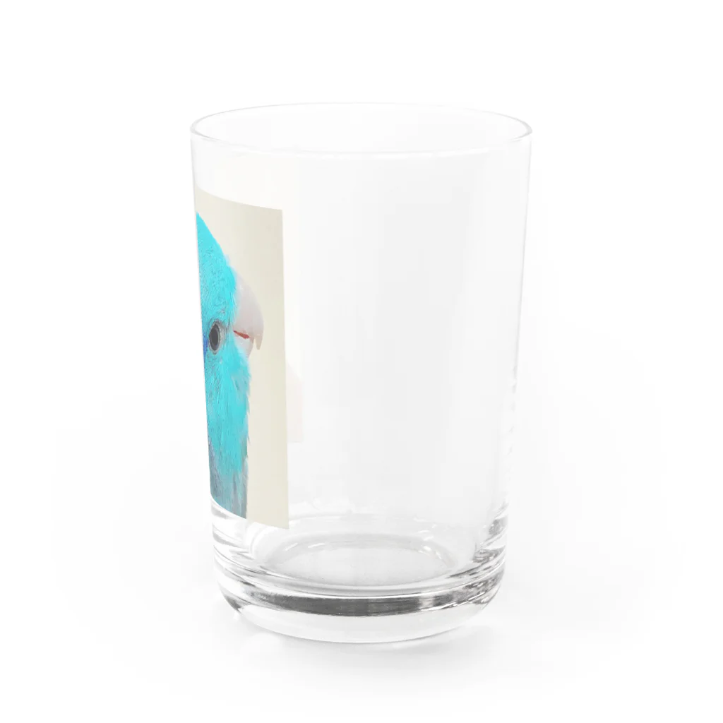 マメルリハグッズショップのマメルリハのまめた Water Glass :right