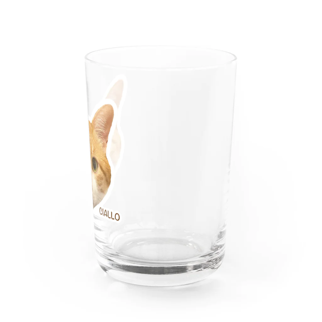 猫カフェ ぶぅたんグッズショップの絵文字チャロさん Water Glass :right
