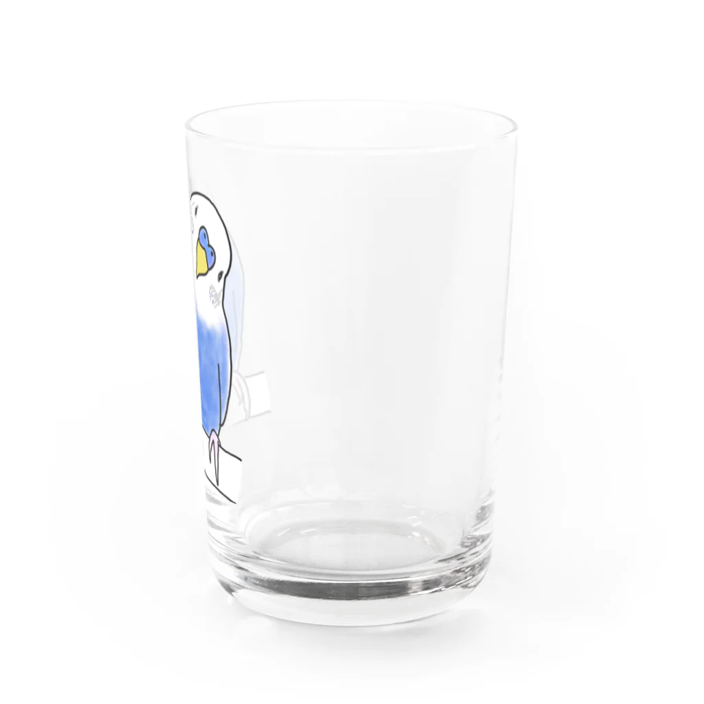 ぴぃのインコちゃん！ Water Glass :right