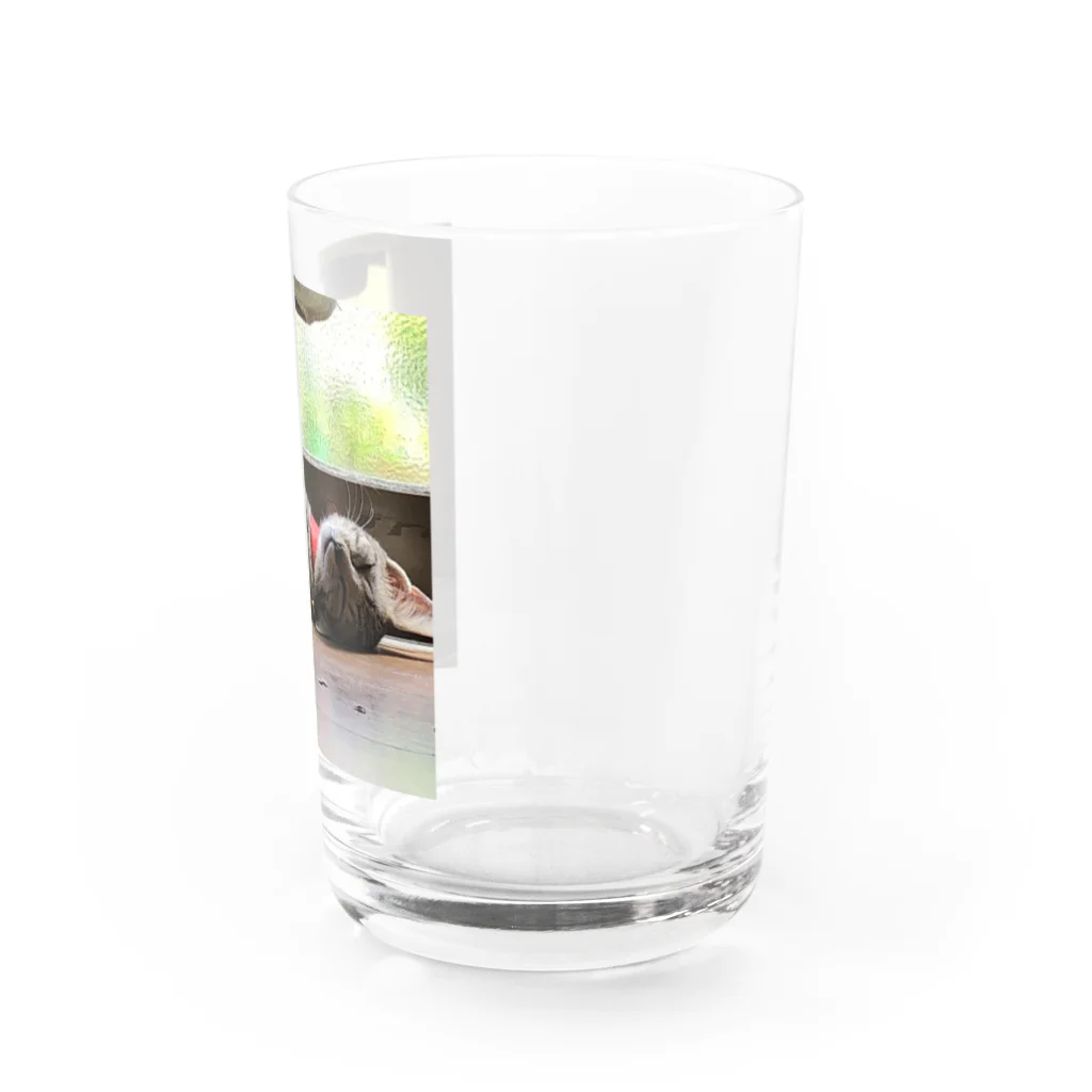 くすくすの森のうみの日常 Water Glass :right