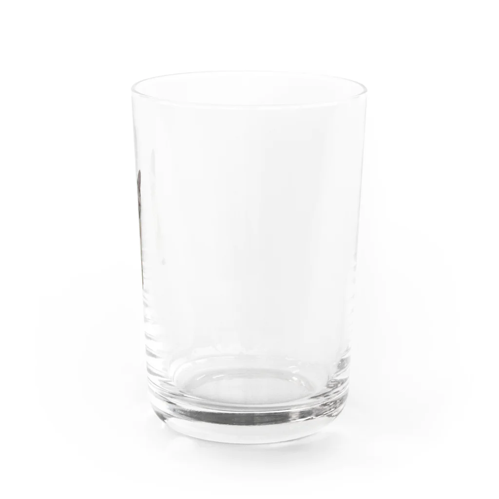 tomokko_riのおすわりこむぎ Water Glass :right