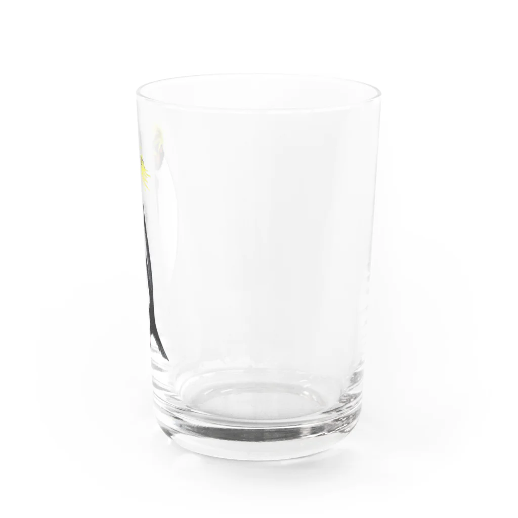 LalaHangeulの　風に吹かれるイワトビペンギンさん(文字無しバージョン Water Glass :right