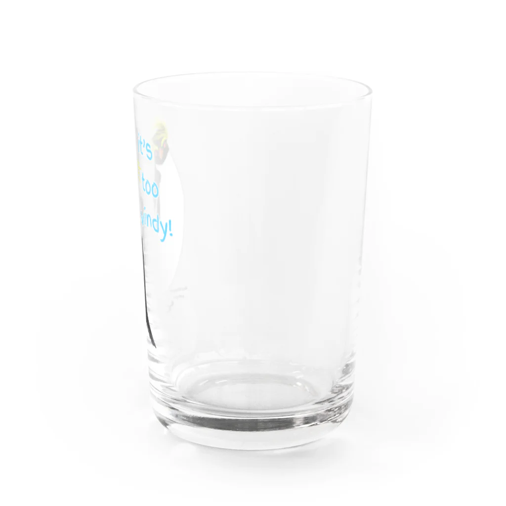 LalaHangeulのRockhopper penguin　(イワトビペンギン) Water Glass :right