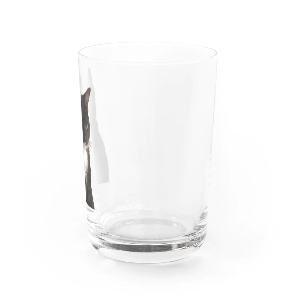 まれのお部屋のまれぼーや Water Glass :right