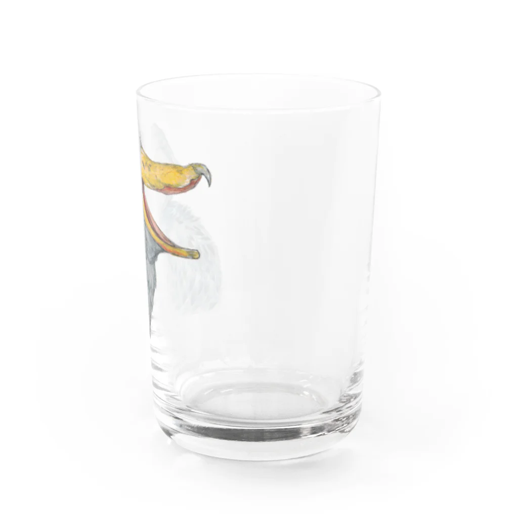 森図鑑の[森図鑑] 口開けハシビロコウ Water Glass :right