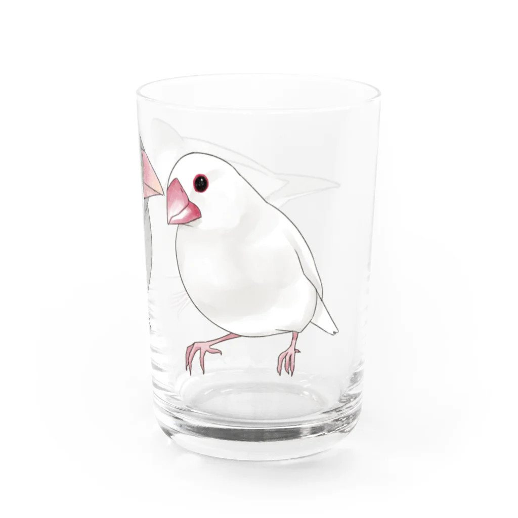 まめるりはことりの幸せ文鳥ちゃん【まめるりはことり】 Water Glass :right