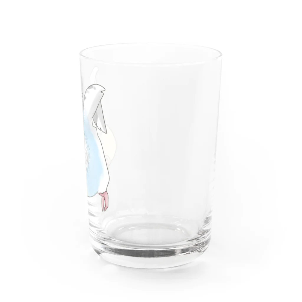 まめるりはことりのご機嫌羽セキセイインコちゃん【まめるりはことり】 Water Glass :right