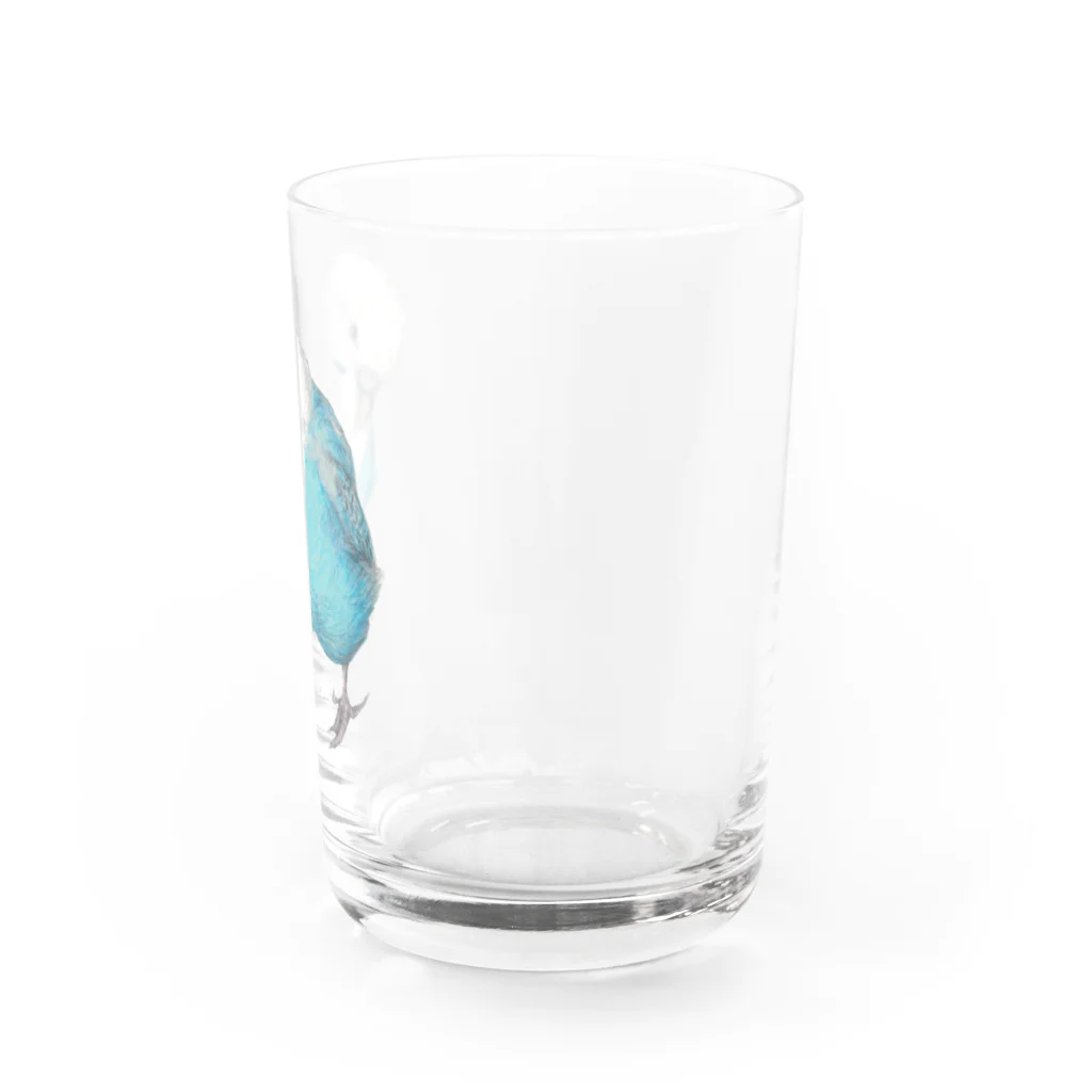 森図鑑の[森図鑑]セキセイインコ オパーリン Water Glass :right