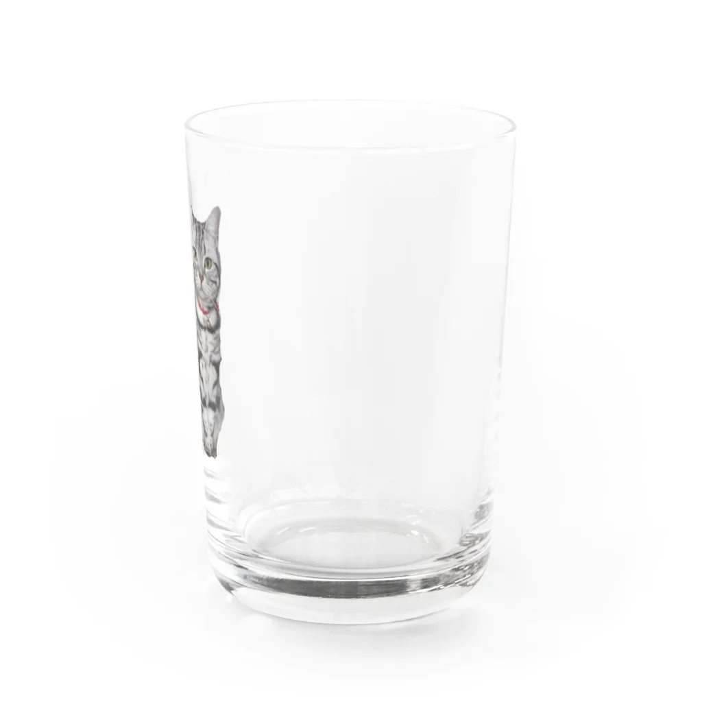 トォーラ🐈の猫のトォーラ Water Glass :right