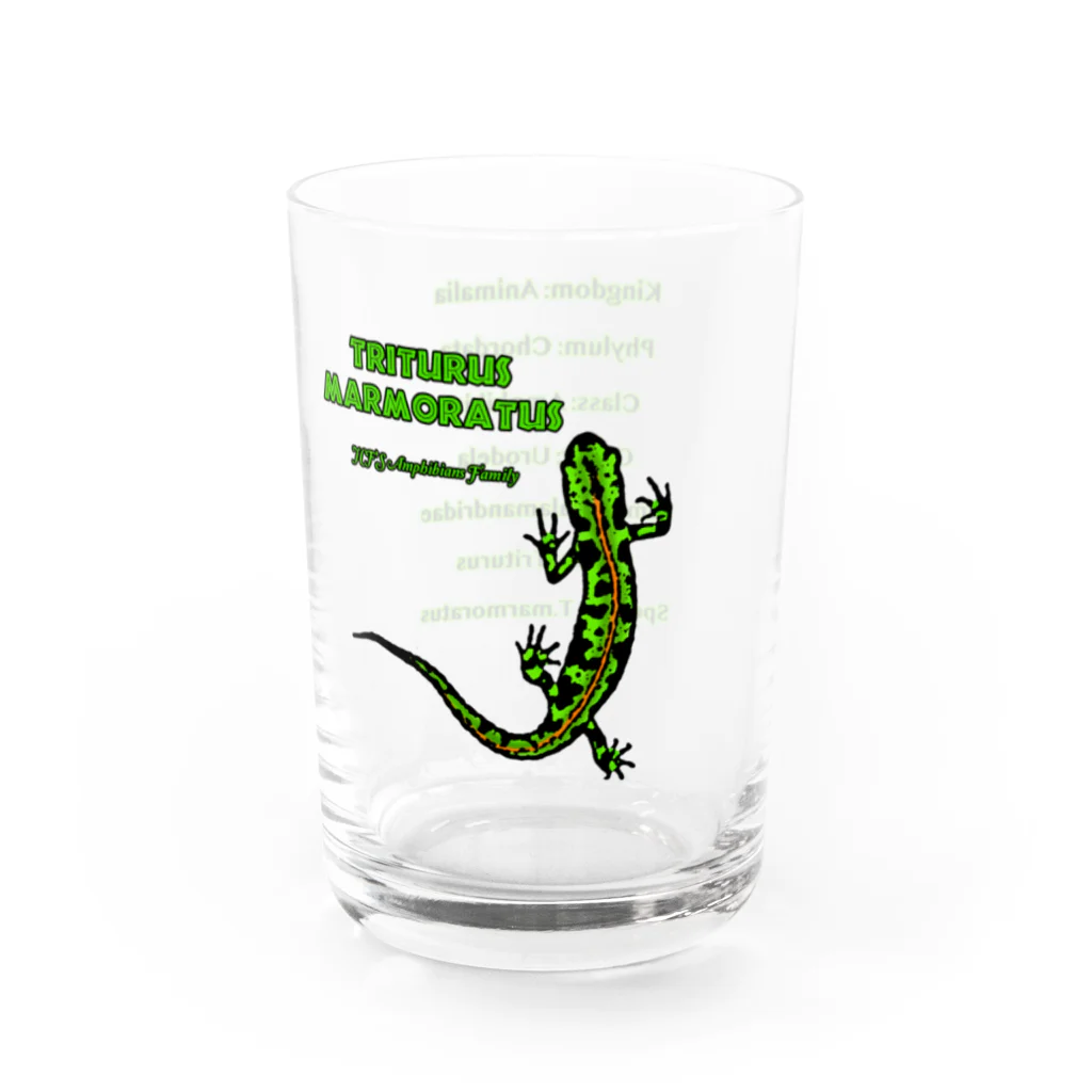 🕷️𝐉𝐚𝐩𝐚𝐧 𝐂𝐫𝐞𝐞𝐩𝐲 𝐢𝐧𝐬𝐞𝐜𝐭𝐬 𝐅𝐞𝐝𝐞𝐫𝐚𝐭𝐢𝗼𝐧🦂のマダライモリ Water Glass :right