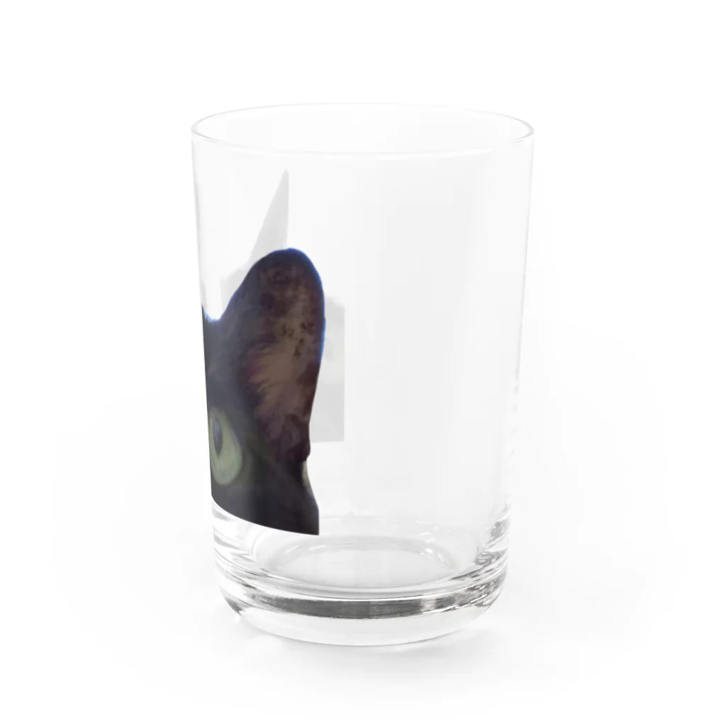 nya nya*のドアップねこ Water Glass :right