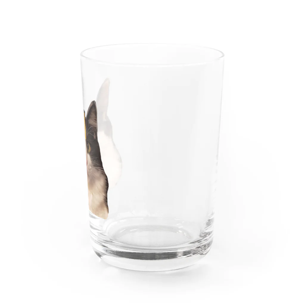 コンドーショップのシャトーブリアン猫 Water Glass :right