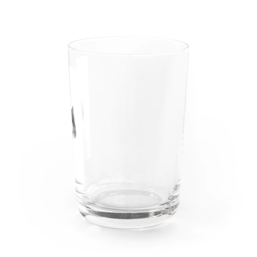 Timmy chan のTimmy the cat Water Glass :right