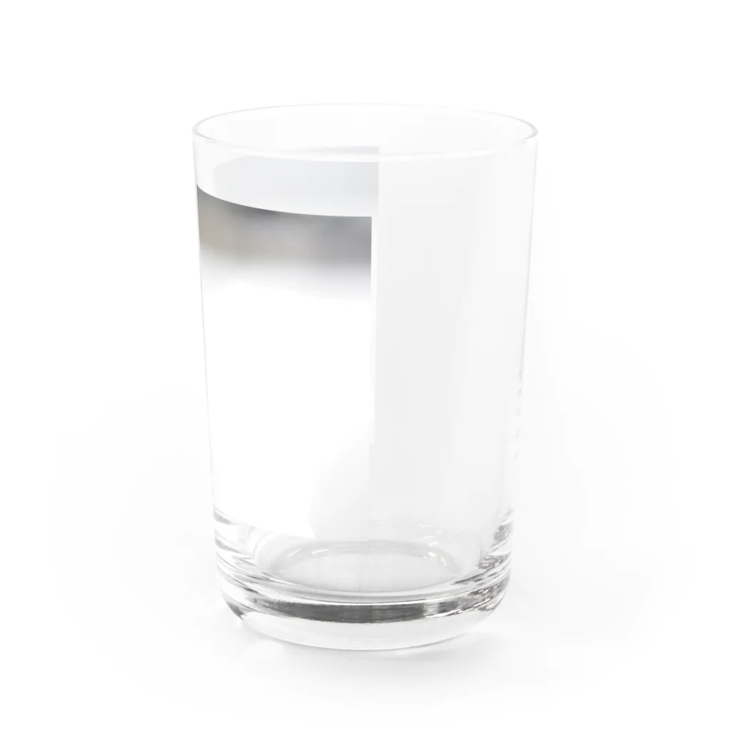 a5s1p6のふわふわ Water Glass :right