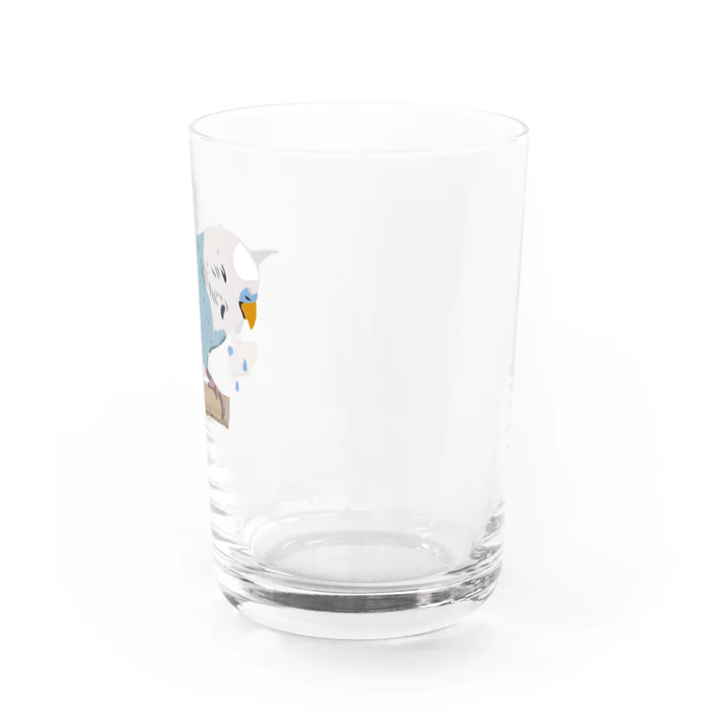 くだらないみち商店のセキセイインコのPちゃん 泣 Water Glass :right
