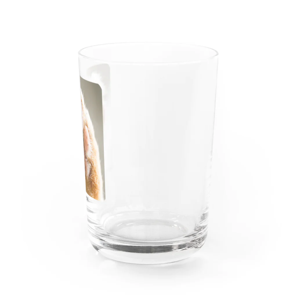 paweyetailのその手 Water Glass :right