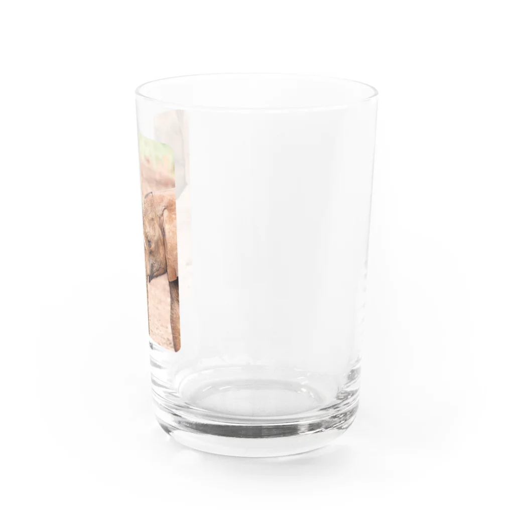 paweyetailのlove - link - life Water Glass :right