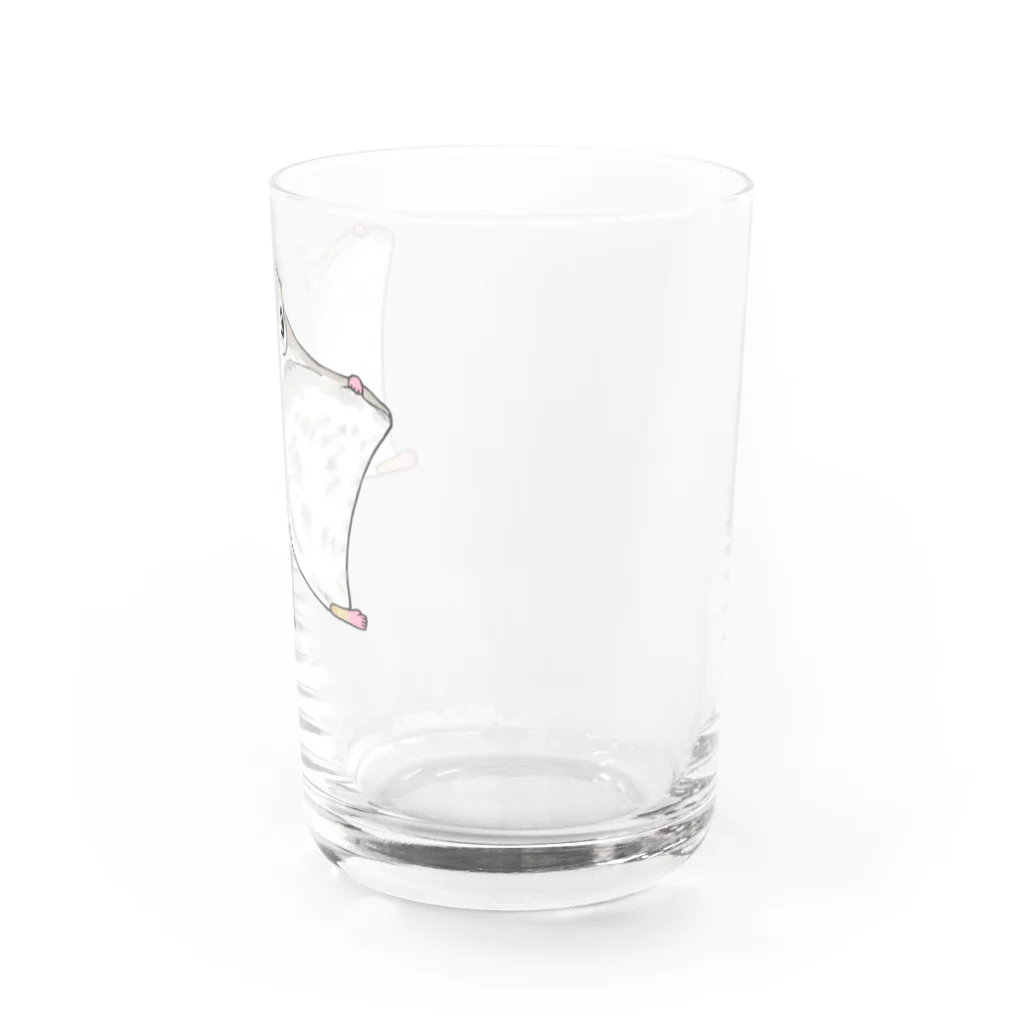 LalaHangeulのエゾモモンガさんドーン！ Water Glass :right