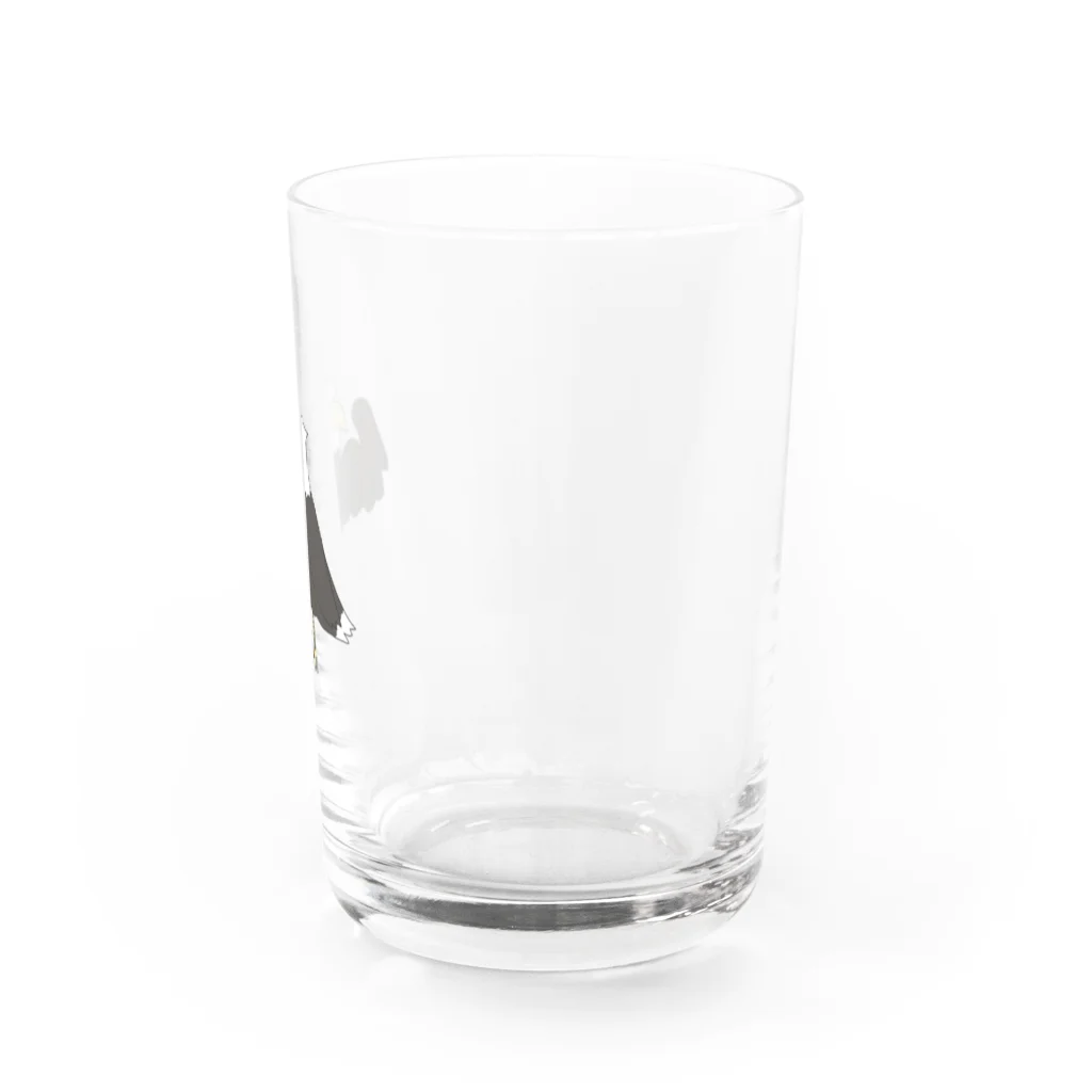 たまのムキムキハクトウワシ Water Glass :right