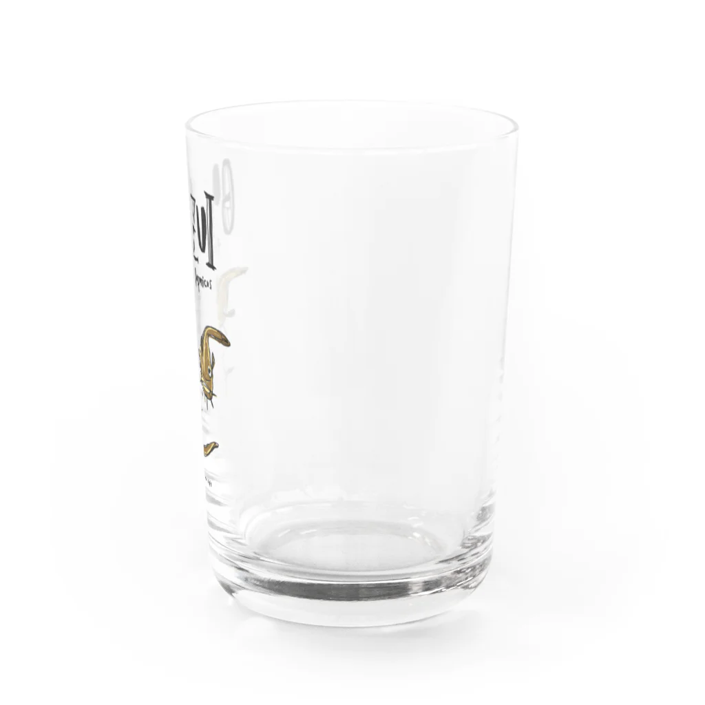 Good Music and Coffee.のGONZUI plotosus japonicus Water Glass :right