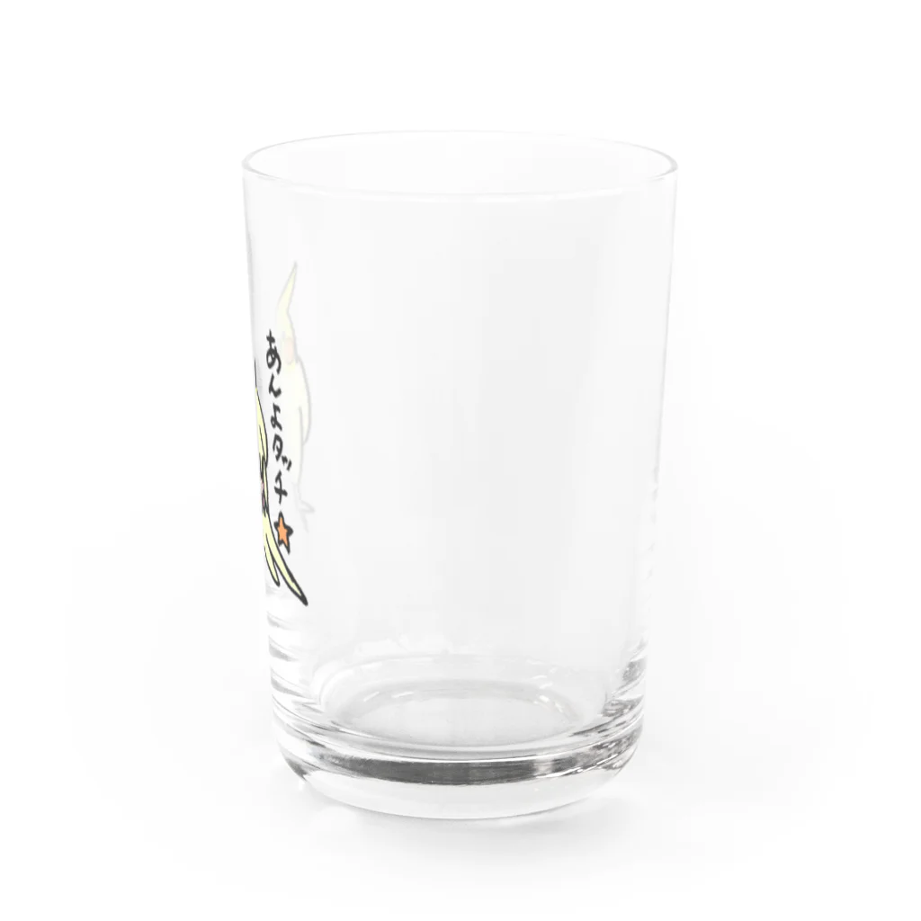 すなねことぽいんちょのオカメインコ　ポインチョ　あんよタッチ　 Water Glass :right