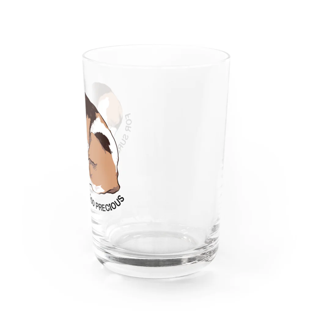 じょにーのやっぱりビーグルはかわいい Water Glass :right