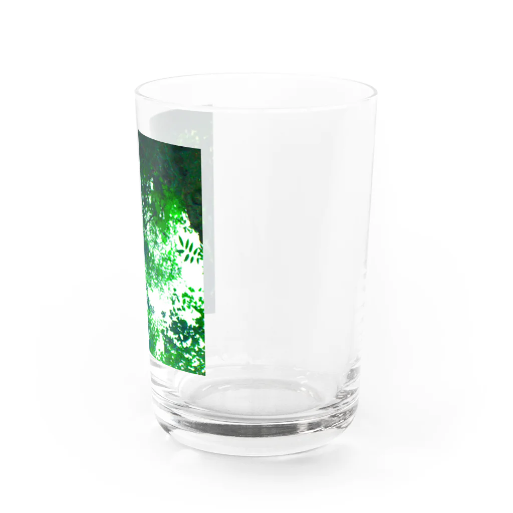 fée de la roseの水の中の世界 Water Glass :right