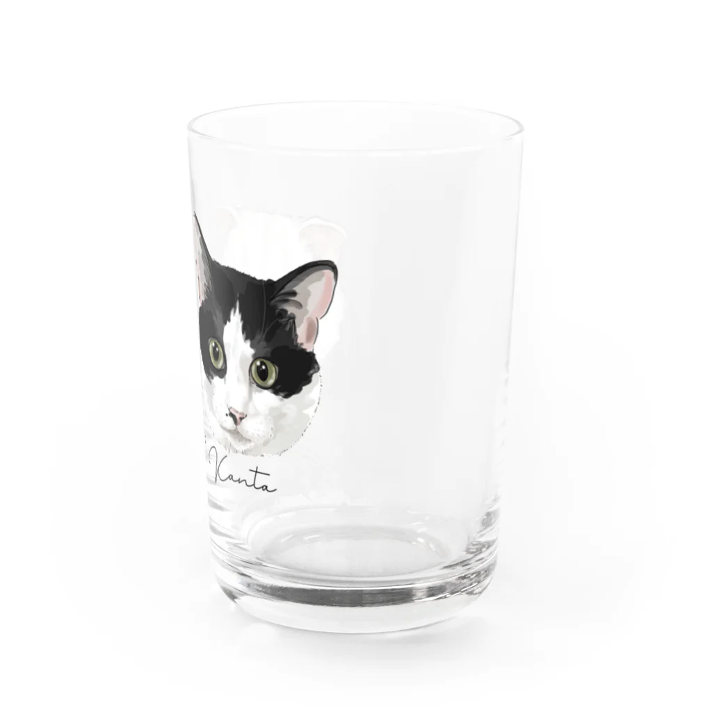 みきぞーん｜保護猫 ミッキー画伯と肉球とおともだちのMei&Kanta Water Glass :right