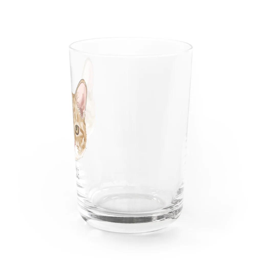 みきぞーん｜保護猫 ミッキー画伯と肉球とおともだちのchoice Water Glass :right