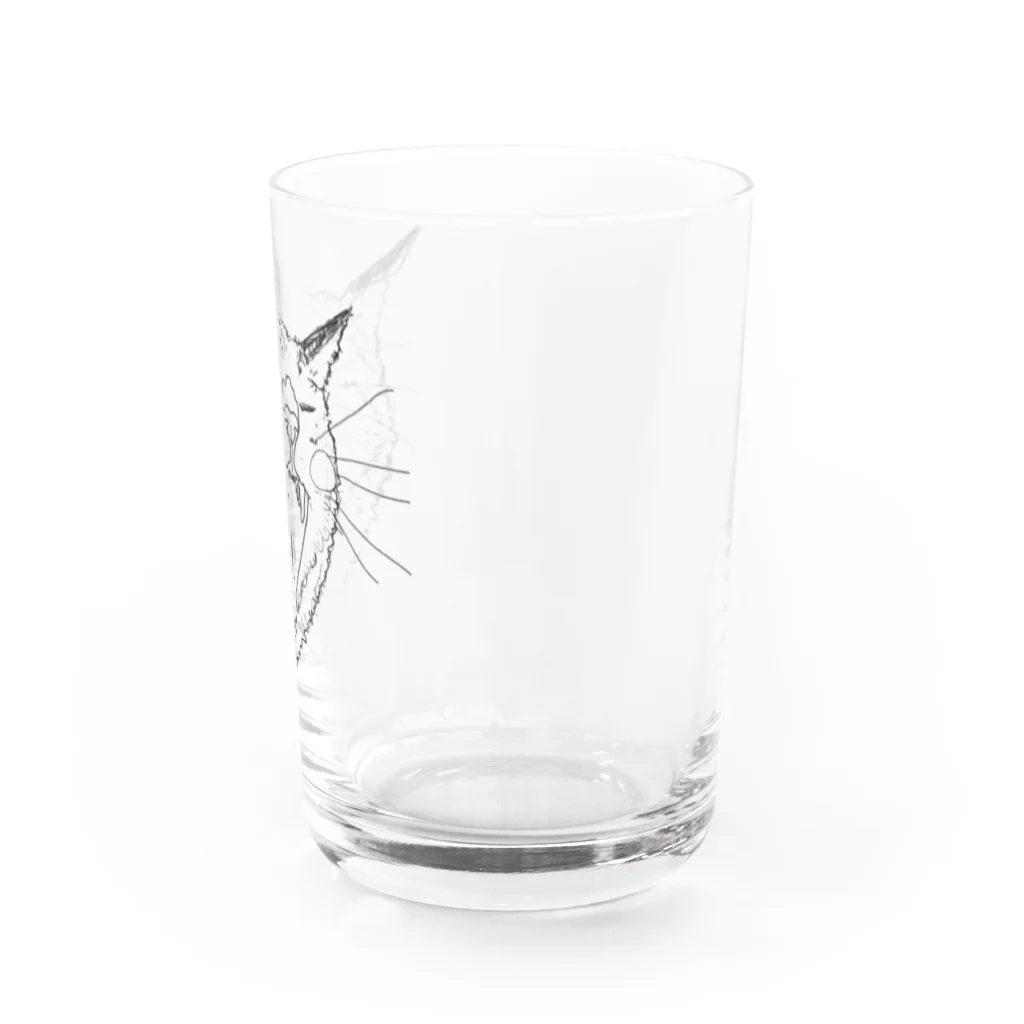 スナック半ばをすぎての欠伸ネコ Water Glass :right