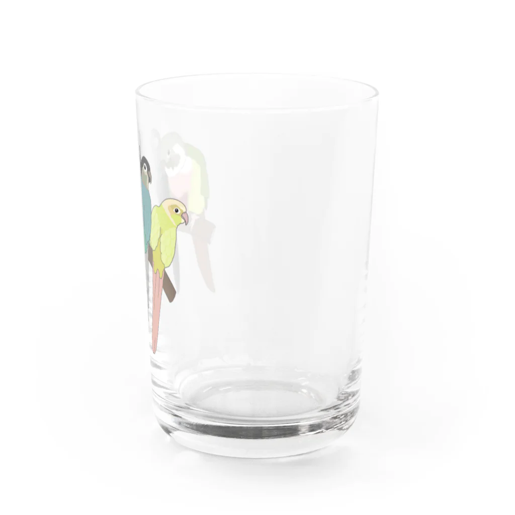 masumi maedaの寄り添う　ウロコインコ　 Water Glass :right